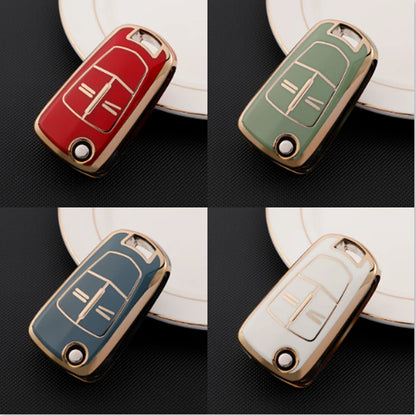 Case for Holden